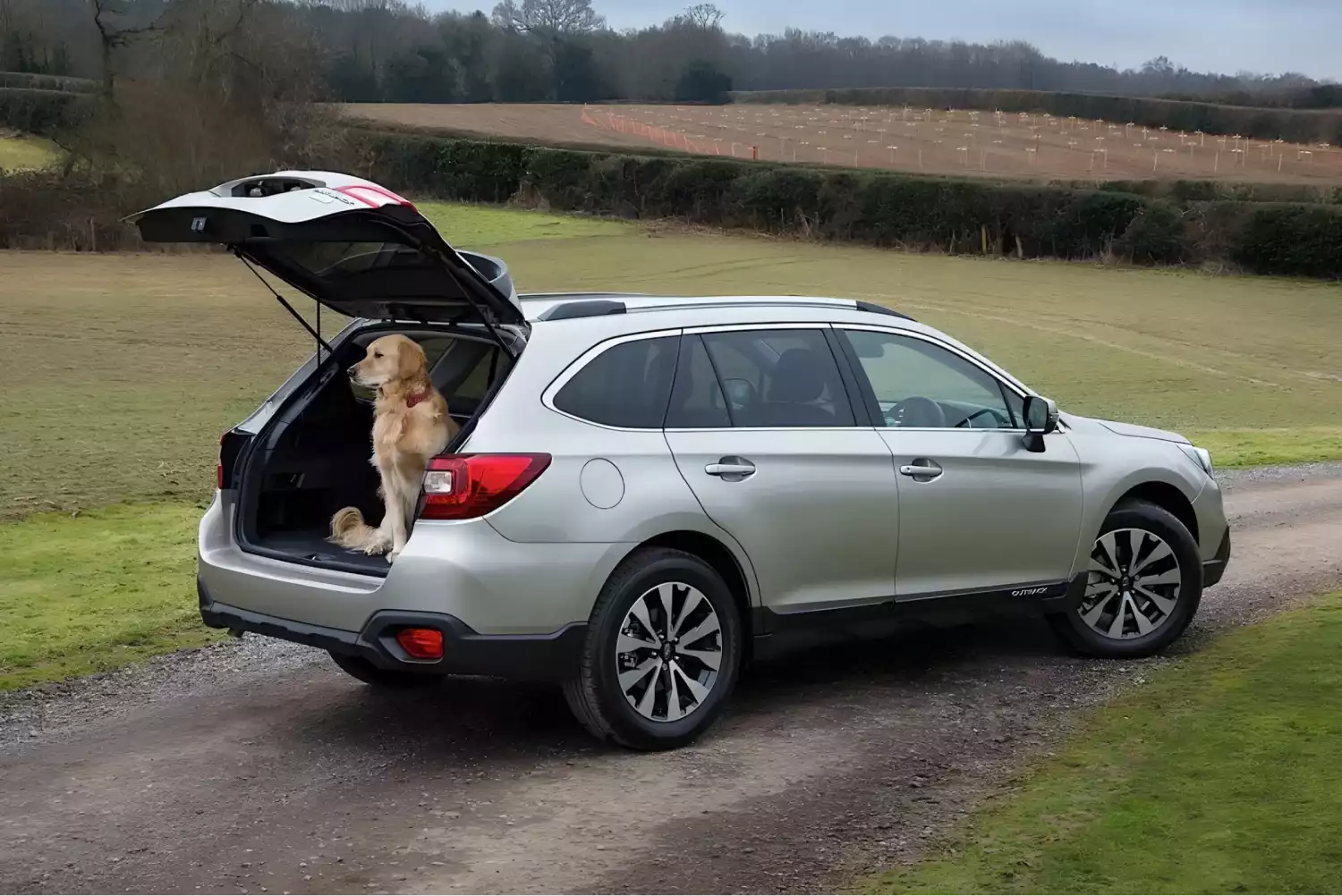 car garbage can for Subaru Outback