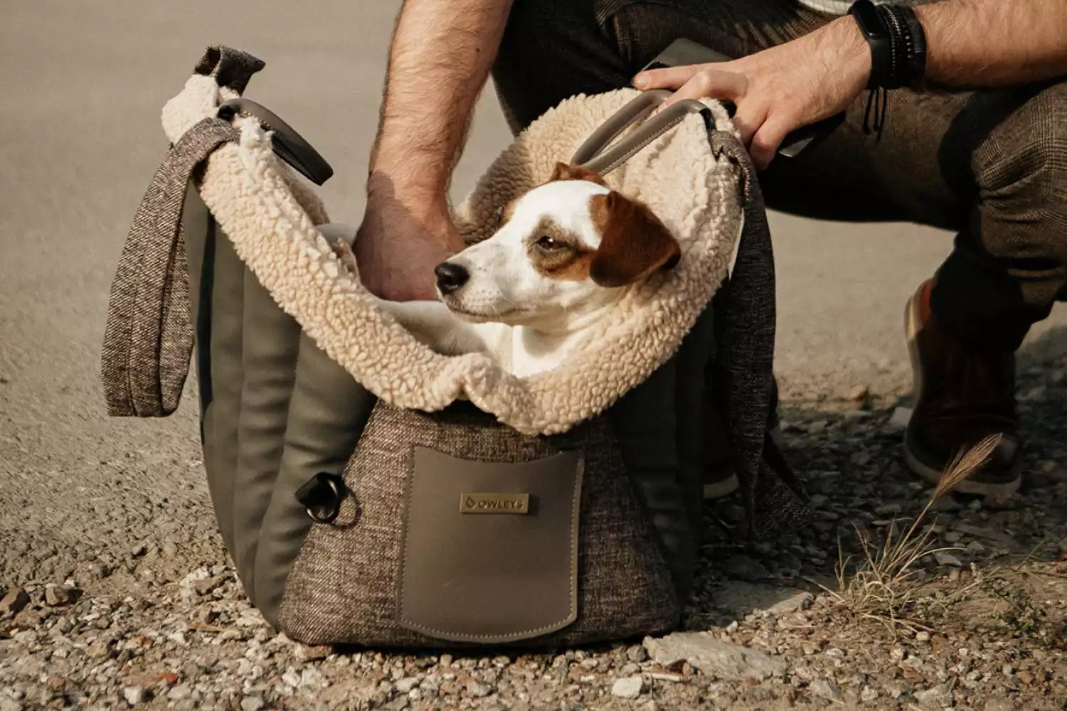 Kia Telluride Dog Carrier Car Seat for Brussels Griffon