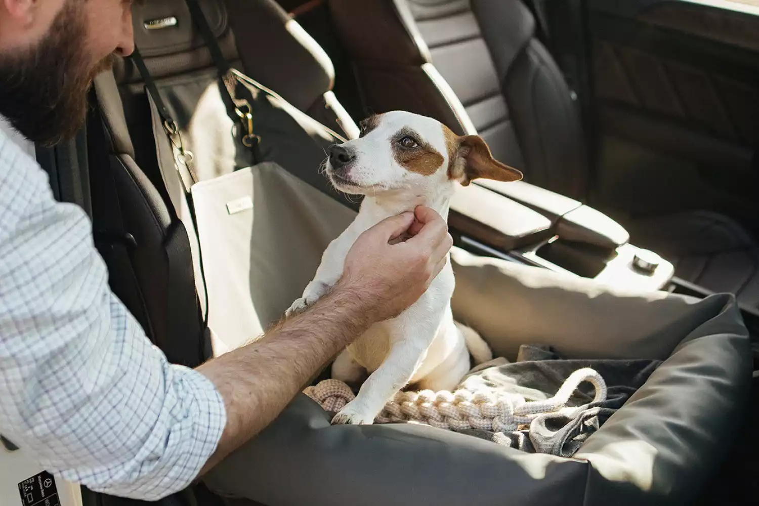 Swedish Vallhunds Dog Car Seat for Volkswagen Passat