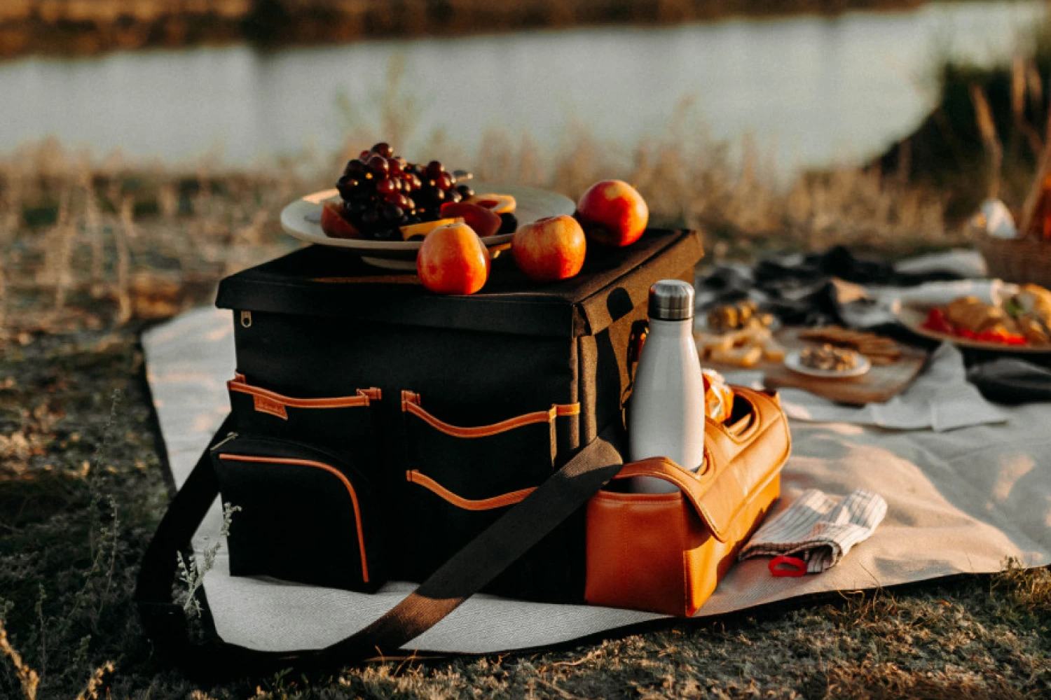 cutest picnic blanket