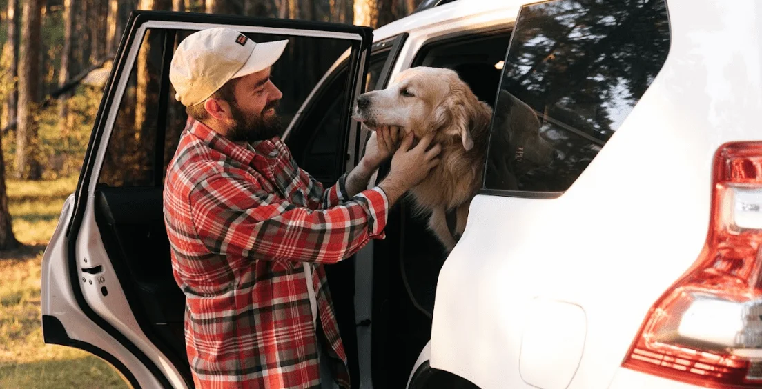 Honda Odyssey Dog Safety Belt for Bloodhounds