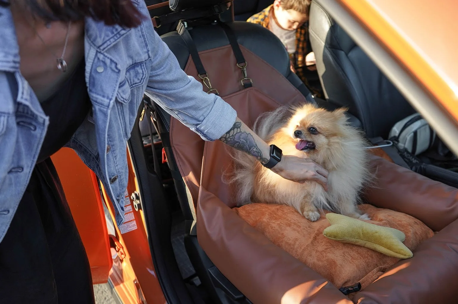 Cairn Terriers Dog Car Seat for Ford Fusion